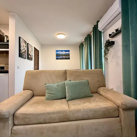 Elvis's Home2host Apartment *